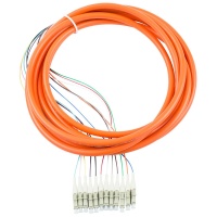 12 Fiber 900um Pigtail, OM1 62.5/125 Multimode Simplex