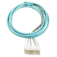 12 Fiber 900um Pigtail, OM4 50/125 Multimode Simplex