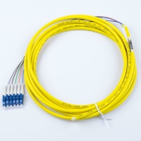 6 Fiber 900um Pigtail, 9/125 Singlemode Simplex